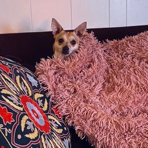 Meet your Posher, Deborah